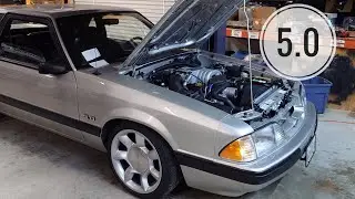 Wrapping up the 1990 Mustang LX Hatch Survivor Restoration