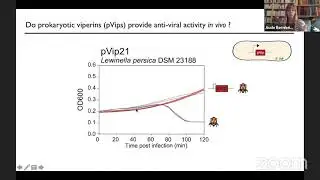 Aude Bernheim: Conceptual and mechanistic conservation of of anti-viral immunity in Prokaryotes...