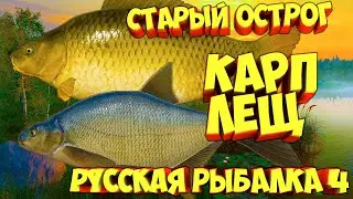 русская рыбалка 4 - Лещ Карп озеро Старый Острог - рр4 фарм Алексей Майоров russian fishing 4