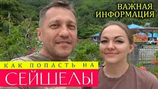 НА СЕЙШЕЛЫ ЛУЧШЕ НЕ ЕХАТЬ, пока не посмотрел это видео.Документы.Как из аэропорта в порт.Аренда авто