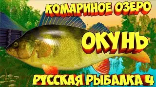 русская рыбалка 4 - Окунь озеро Комариное - рр4 фарм Алексей Майоров russian fishing 4