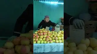 24 октября 2024 г.