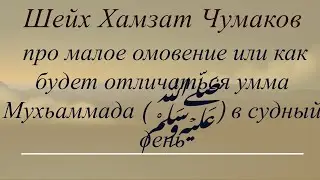 Шейх Хамзат Чумаков про малое омовение или как будет отличаться умма Мухьаммада (ﷺ) в судный день.