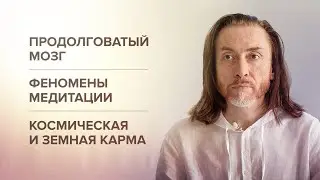 ПРОДОЛГОВАТЫЙ МОЗГ И ФЕНОМЕНЫ МЕДИТАЦИИ. Уровень Будды. Космическая и земная карма 