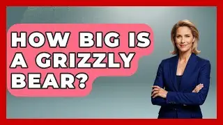 How Big Is A Grizzly Bear? - The Wild Life Explorer