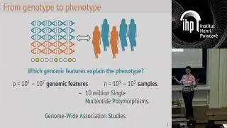 Using structure to select features in high dimension. - Azencott - Workshop 3 - CEB T1 2019