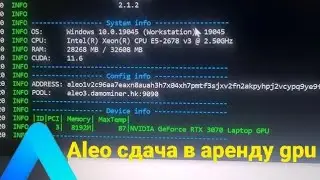 Aleo майнинг сдача ригов в аренду