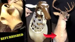 Sing Along with Buck Again: Reviving Your Vintage Singing Deer Head!