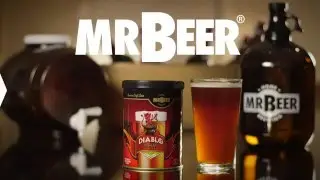 Why Should You Brew With Mr.Beer? It Tastes Great.