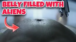 Belly Movement After Girl PREGNANT with Aliens - Prometheus Vore Belly Scene