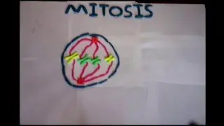 BioClaymation