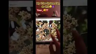 My Apple EchoSystem Can do this 😈 Whats Your Samsung🫵 ?? #applevsandroid #iphonevssamsung #shorts