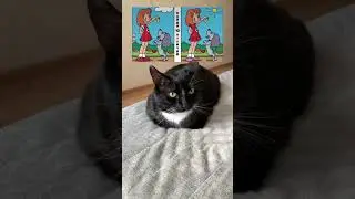 Сколько отличий ты нашел?🤔