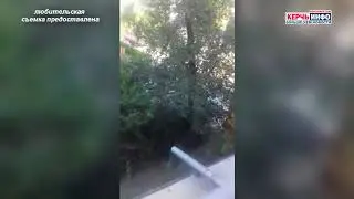 В Керчи мужчина напал на женщину