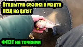 Рыбалка на ФЛЭТ ФИДЕР открытие сезона мощная поклёвка карпа лёщ сошёл с ума