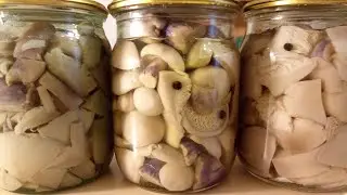 ✅МАРИНОВАННЫЕ ГРИБЫ. Рецепт ПОДХОДИТ для РАЗНЫХ видов ГРИБОВ. Синеножка.