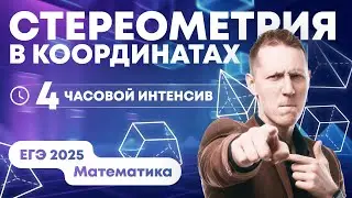 СТЕРЕОМЕТРИЯ В КООРДИНАТАХ. ЧЕТЫРЁХЧАСОВОЙ ИНТЕНСИВ. ЕГЭ Математика 2025