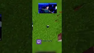 What does a stun Grenade do 