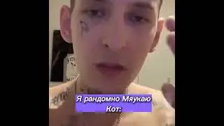 Kizaru.Kizaru Meme.Cats funny moments.Кизару.Кизару приколы.Коты.Коты смешные моменты