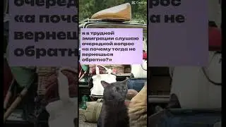 было?沈 #мемчик #трендытиктока #меме #эмиграция #ментальноесостояние #релокация #иммиграция