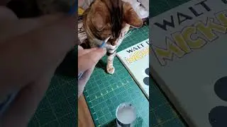 Вредный Кот #Shorts #shortvideo #смешныемоменты #смешные #2023 #короткиевидео #cats #cat #коты