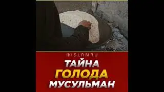 Тайна голода Пророка ﷺ