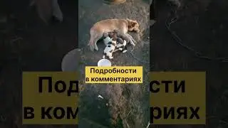 Поучаствуйте в добром деле🙏