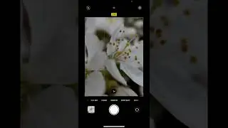 how to use Photo burst on your smartphone