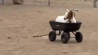videoplayback 8