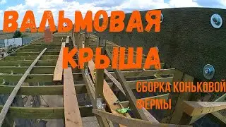 Коньковая ферма