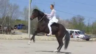 Екатерина Ильчик и Эскада - работа на кордео 27-04-2014