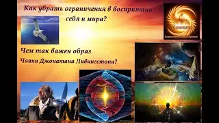 Как убрать ограничения в восприятии себя и мира? Чем так важен образ Чайки Джонатана Ливингстона?