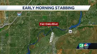 Fair Oaks Stabbing