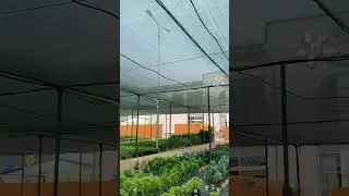 30 сентября 2023 г.