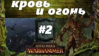 Прохождение Око за око Total War: Warhammer - #2