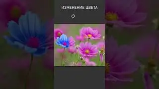 Быстрое изменение цвета в фотошоп