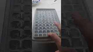 The perfect ice cube tray  