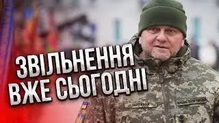 ❗️ОСТАННІ СЛОВА ЗАЛУЖНОГО перед відставкою: головком попередив Зеленського про…