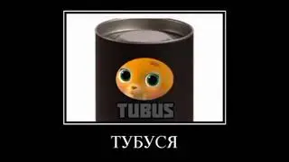 КОШЕЧКИ СОБАЧКИ + ШИЗА =
