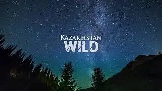Timelapse - Kazakhstan Wild | Таймлапс - Дикий Казахстан