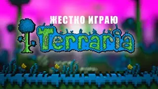 Ночная игра в террарию