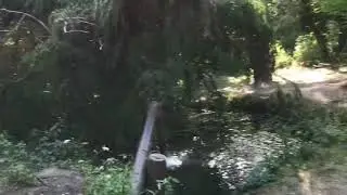 Эстафета от Романа с канала АгрономСамоучка передаю Овощи Кубани, Ферма Лесниченко