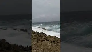 somewhere in Aruba