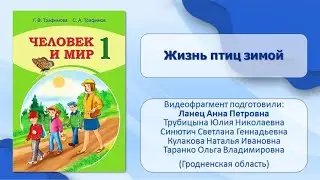 Тема 12. Жизнь птиц зимой