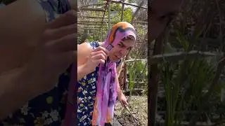ДЕВОЧКА КОКЕТКА и СЁМА СОБИРАЮТ УРОЖАЙ В ОГОРОДЕ