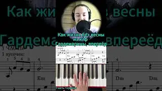 Самая красивая мелодия НА ПИАНИНО из к/ф Гардемарины, вперёд 🔥