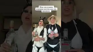 Моя последняя нервная клетка как эта крышка (2023)