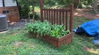 My Raised Bed Fence Project