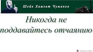 Шейх Хамзат Чумаков / Никогда не поддавайтесь отчаянию!