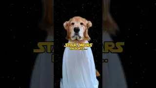 May the 4th be with you